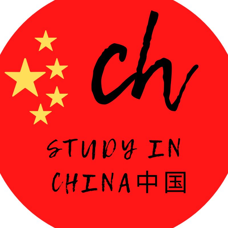 She said i study chinese. China study. Study in China.